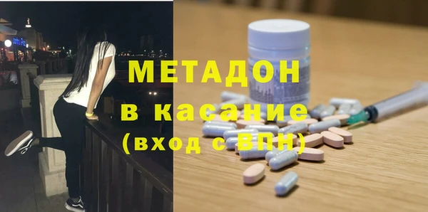 прущие грибы Богданович