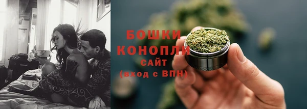 прущие грибы Богданович