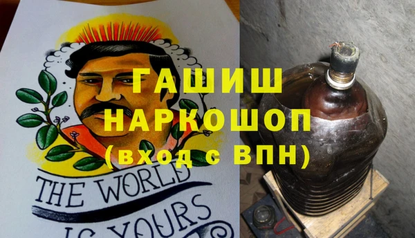 прущие грибы Богданович
