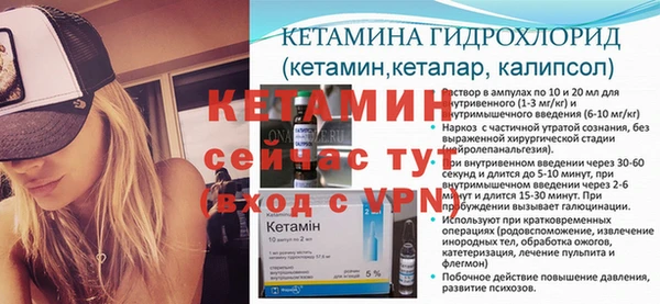 прущие грибы Богданович