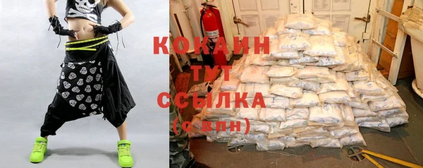 прущие грибы Богданович
