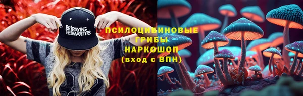прущие грибы Богданович