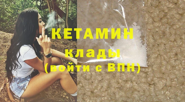 прущие грибы Богданович