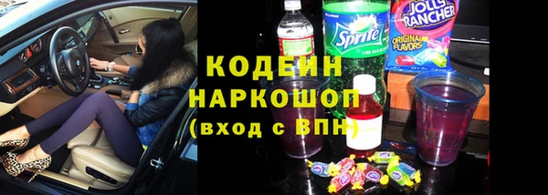 прущие грибы Богданович